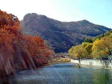 新澳天天开奖资料大全旅游团，建筑智能化是什么